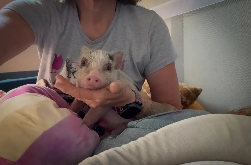 Remington being held and cuddled